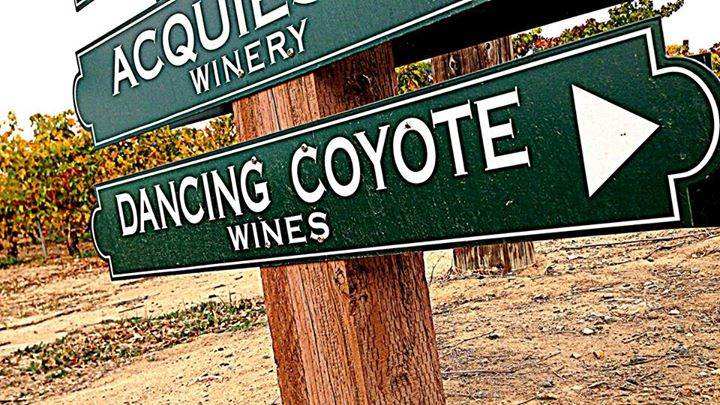 Dancing Coyote Winery