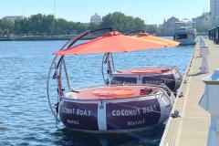 Coconut Boat Rentals