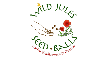 Wild Jules Seed Balls