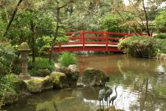 Japanese Garden at Micke Grove Park
