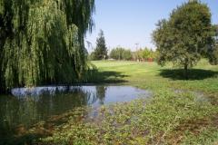 Micke Grove Golf Links